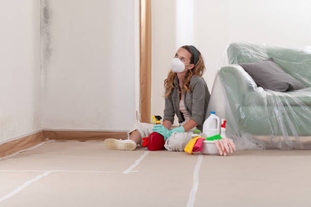 Reliable Black Mold Remediation contractor in Argyle, TX by Car Mold Remediation
